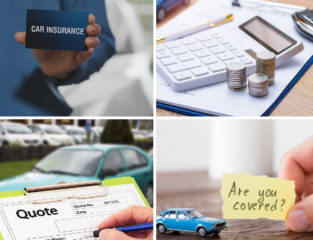auto insurance quotes