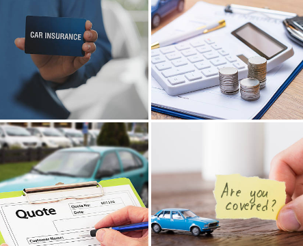 auto insurance quotes