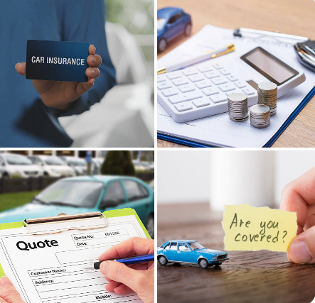 auto insurance quotes