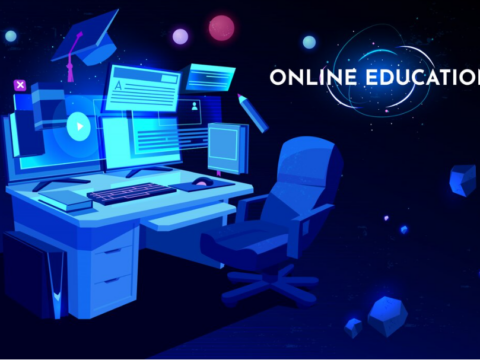 best programming courses online