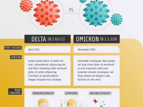 HMO vs PPO