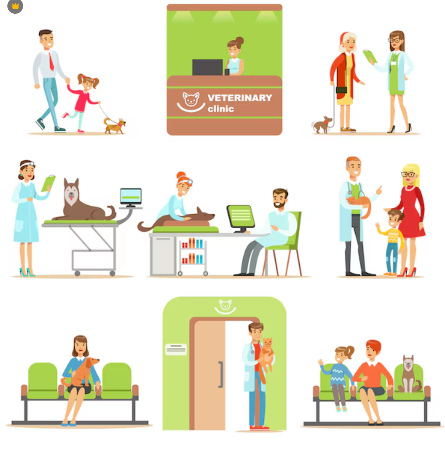 pet insurance