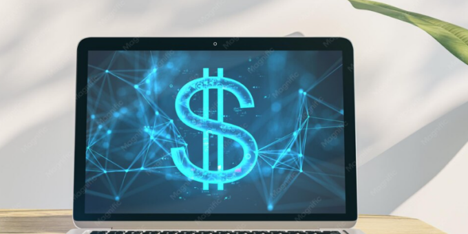 business web hosting cost